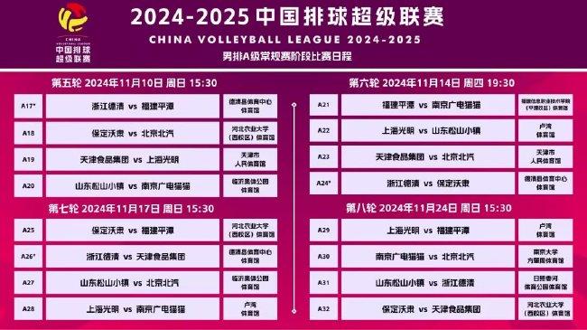 2024-2025正版资料全年免费公开,精选资料解析大全