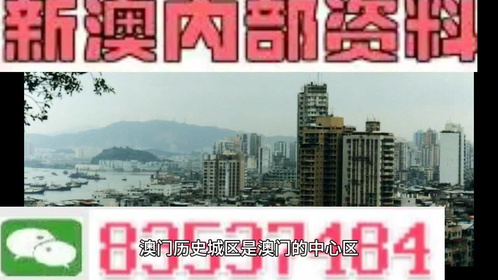 2024-2025年新澳门今晚免费资料,富强解释解析落实