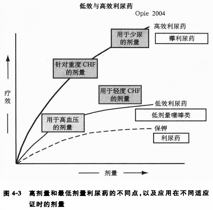 速尿最新药物，突破性治疗与未来展望