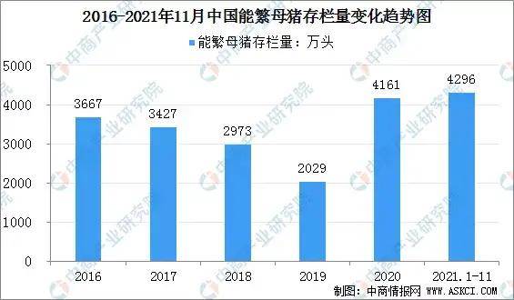 河南生猪市场动态，最新猪价解析