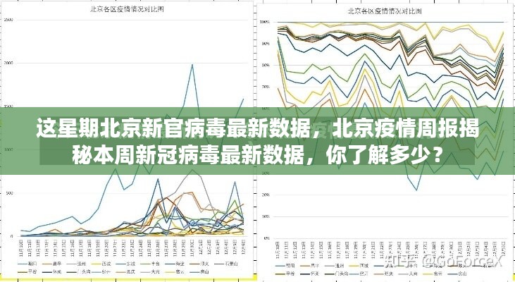 新发地疫情最新数据深度解析