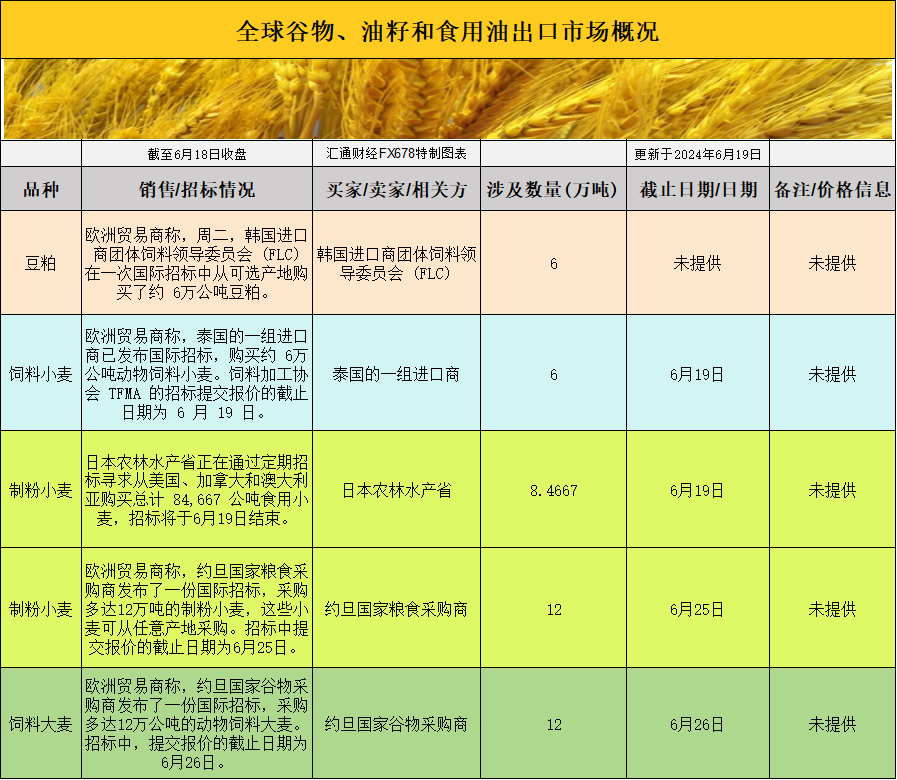 交易所最新信息，市场动态与交易趋势深度解析