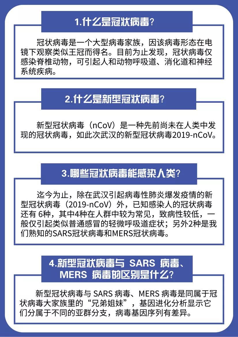 新官病毒最新情况深度解析