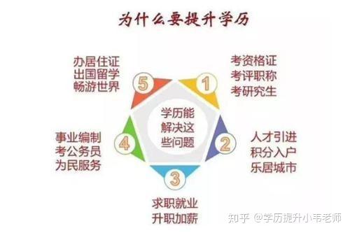 成人学历提升的最新趋势与策略