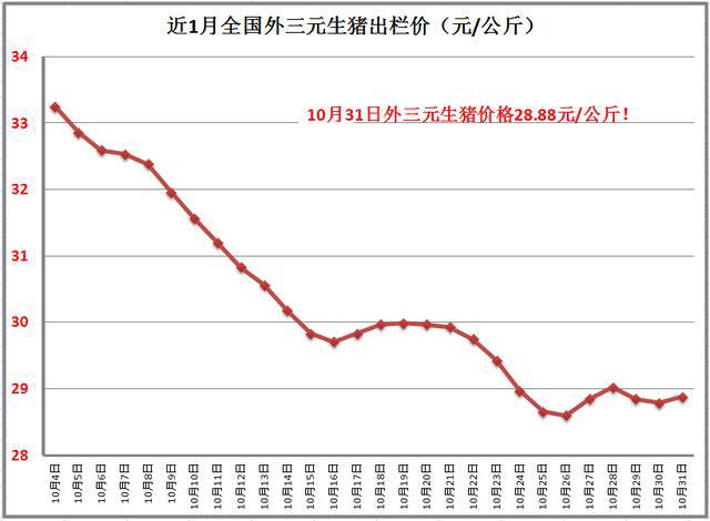 猪价最新行情全国分析