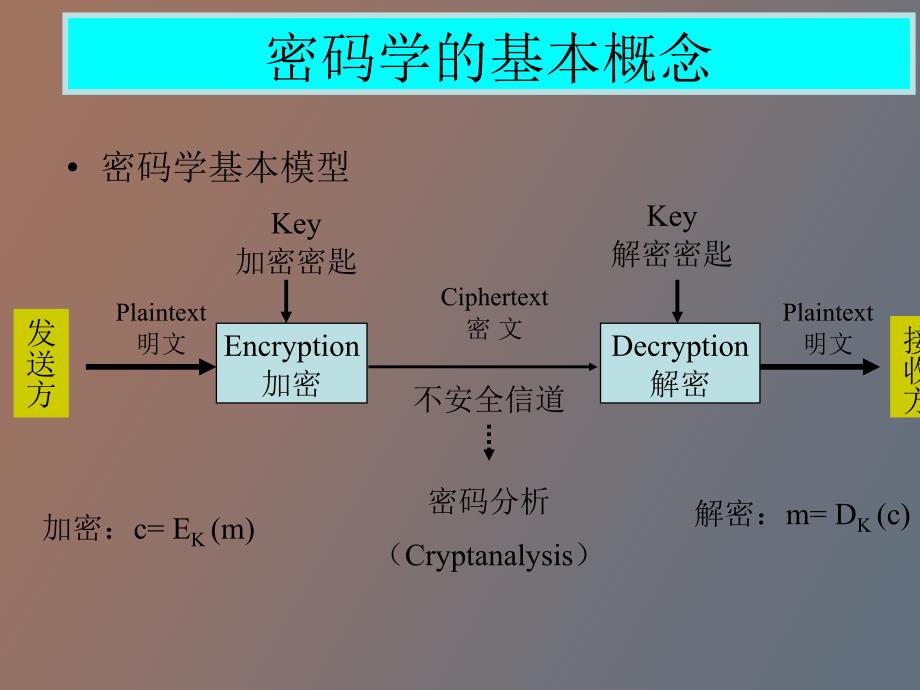 最新密码p的探索与解析